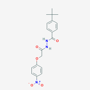 molecular formula C19H21N3O5 B321811 4-tert-butyl-N'-[(4-nitrophenoxy)acetyl]benzohydrazide 