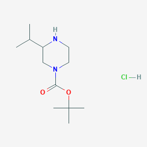 molecular formula C12H25ClN2O2 B3220881 tert-Butyl 3-isopropylpiperazine-1-carboxylate hydrochloride CAS No. 1203249-89-1