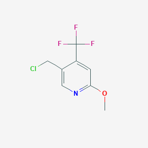 molecular formula C8H7ClF3NO B3222189 5-(Chloromethyl)-2-methoxy-4-(trifluoromethyl)pyridine CAS No. 1211585-00-0