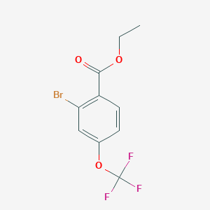 molecular formula C10H8BrF3O3 B3222672 2-Bromo-4-(trifluoromethoxy)benzoic acid ethyl ester CAS No. 1214337-88-8
