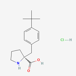 molecular formula C16H24ClNO2 B3223332 (S)-alpha-(4-tert-butyl-benzyl)-proline-HCl CAS No. 1217748-46-3