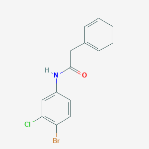 molecular formula C14H11BrClNO B322348 N-(4-bromo-3-chlorophenyl)-2-phenylacetamide 