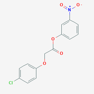 molecular formula C14H10ClNO5 B322364 3-Nitrophenyl (4-chlorophenoxy)acetate 