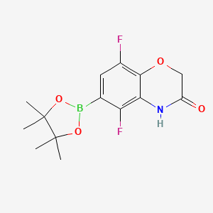 molecular formula C14H16BF2NO4 B3223649 5,8-Difluoro-3-oxo-3,4-dihydro-2H-benzo[b][1,4]oxazine-6-boronicAcidPinacolEster CAS No. 1221502-87-9