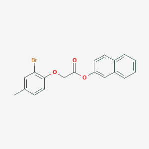 molecular formula C19H15BrO3 B322372 2-Naphthyl (2-bromo-4-methylphenoxy)acetate 