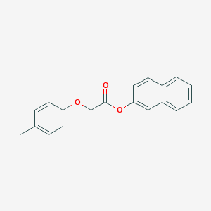 molecular formula C19H16O3 B322425 2-Naphthyl (4-methylphenoxy)acetate 