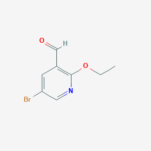 molecular formula C8H8BrNO2 B3224905 5-Bromo-2-ethoxynicotinaldehyde CAS No. 1242070-94-5