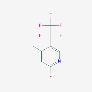 molecular formula C8H5F6N B3225194 2-Fluoro-4-methyl-5-pentafluoroethyl-pyridine CAS No. 1246466-30-7