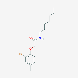 molecular formula C16H24BrNO2 B322530 2-(2-bromo-4-methylphenoxy)-N-heptylacetamide 