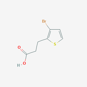 molecular formula C7H7BrO2S B3225347 3-(3-Bromothiophen-2-yl)propanoic acid CAS No. 1247800-38-9