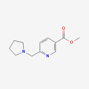 molecular formula C12H16N2O2 B3225741 Methyl 6-(pyrrolidin-1-ylmethyl)nicotinate CAS No. 125104-82-7