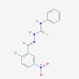 molecular formula C14H11ClN4O2S B322615 2-chloro-5-nitrobenzaldehyde N-phenylthiosemicarbazone 