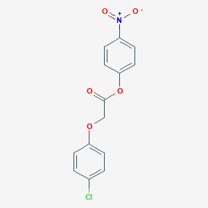 molecular formula C14H10ClNO5 B322651 4-Nitrophenyl (4-chlorophenoxy)acetate 