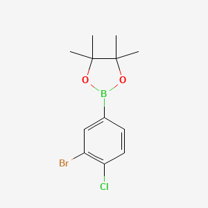molecular formula C12H15BBrClO2 B3226510 2-(3-Bromo-4-chlorophenyl)-4,4,5,5-tetramethyl-1,3,2-dioxaborolane CAS No. 1256781-68-6