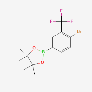 molecular formula C13H15BBrF3O2 B3226686 4-Bromo-3-(trifluoromethyl)phenylboronic acid pinacol ester CAS No. 1256944-74-7