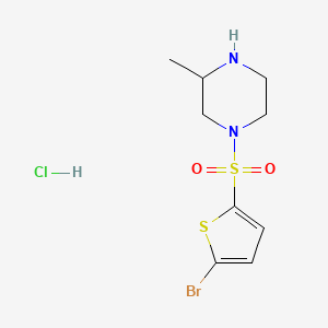 molecular formula C9H14BrClN2O2S2 B3227738 1-(5-Bromo-thiophene-2-sulfonyl)-3-methyl-piperazine hydrochloride CAS No. 1261232-65-8