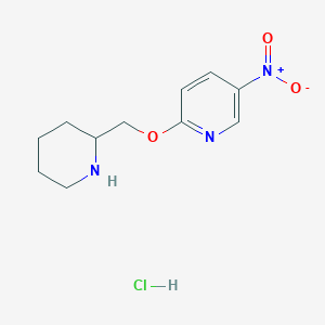 molecular formula C11H16ClN3O3 B3227757 5-Nitro-2-(piperidin-2-ylmethoxy)-pyridine hydrochloride CAS No. 1261232-78-3