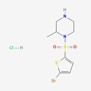 molecular formula C9H14BrClN2O2S2 B3227929 1-(5-Bromo-thiophene-2-sulfonyl)-2-methyl-piperazine hydrochloride CAS No. 1261234-85-8