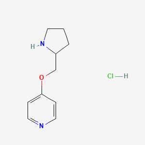 molecular formula C10H15ClN2O B3227932 4-(Pyrrolidin-2-ylmethoxy)pyridine hydrochloride CAS No. 1261234-96-1