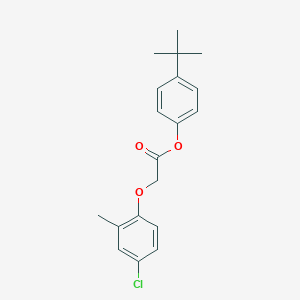 molecular formula C19H21ClO3 B322796 4-Tert-butylphenyl (4-chloro-2-methylphenoxy)acetate 