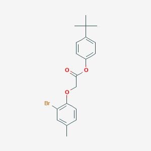 molecular formula C19H21BrO3 B322797 4-Tert-butylphenyl (2-bromo-4-methylphenoxy)acetate 