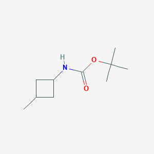 molecular formula C10H19NO2 B3229266 Tert-butyl (3-methylcyclobutyl)carbamate CAS No. 1284245-14-2