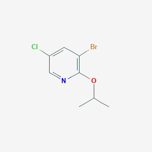 molecular formula C8H9BrClNO B3229554 3-Bromo-5-chloro-2-isopropoxypyridine CAS No. 1289133-38-5