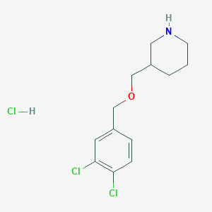 molecular formula C13H18Cl3NO B3229599 3-(3,4-Dichloro-benzyloxymethyl)-piperidine hydrochloride CAS No. 1289384-93-5