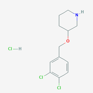 molecular formula C12H16Cl3NO B3229792 3-(3,4-Dichloro-benzyloxy)-piperidine hydrochloride CAS No. 1289387-61-6