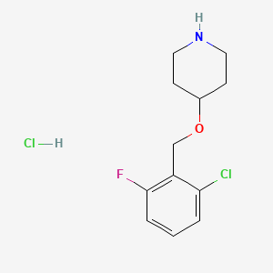 molecular formula C12H16Cl2FNO B3229902 4-(2-Chloro-6-fluoro-benzyloxy)-piperidine hydrochloride CAS No. 1289388-67-5