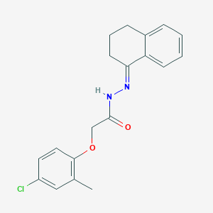 molecular formula C19H19ClN2O2 B323051 2-(4-chloro-2-methylphenoxy)-N'-(3,4-dihydronaphthalen-1(2H)-ylidene)acetohydrazide 