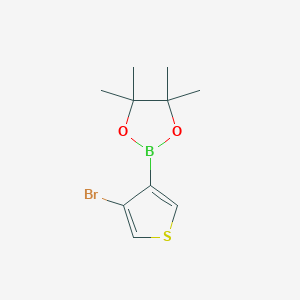 molecular formula C10H14BBrO2S B3230717 2-(4-Bromothiophen-3-yl)-4,4,5,5-tetramethyl-1,3,2-dioxaborolane CAS No. 1310404-31-9