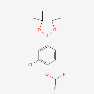 molecular formula C13H16BClF2O3 B3230766 2-(3-Chloro-4-(difluoromethoxy)phenyl)-4,4,5,5-tetramethyl-1,3,2-dioxaborolane CAS No. 1310949-92-8