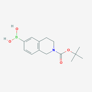 molecular formula C14H20BNO4 B3230944 (2-(tert-Butoxycarbonyl)-1,2,3,4-tetrahydroisoquinolin-6-yl)boronic acid CAS No. 1312765-94-8