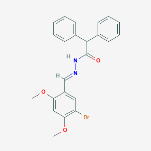 molecular formula C23H21BrN2O3 B323219 N'-(5-bromo-2,4-dimethoxybenzylidene)-2,2-diphenylacetohydrazide 