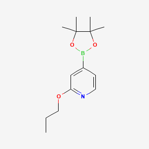 molecular formula C14H22BNO3 B3232843 2-丙氧基-4-(4,4,5,5-四甲基-1,3,2-二氧杂硼环-2-基)吡啶 CAS No. 1346707-85-4