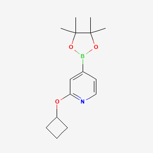 molecular formula C15H22BNO3 B3232848 2-Cyclobutoxy-4-(4,4,5,5-tetramethyl-1,3,2-dioxaborolan-2-yl)pyridine CAS No. 1346707-96-7