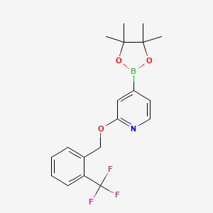 molecular formula C19H21BF3NO3 B3232849 4-(4,4,5,5-Tetramethyl-1,3,2-dioxaborolan-2-yl)-2-((2-(trifluoromethyl)benzyl)oxy)pyridine CAS No. 1346708-09-5