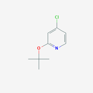 molecular formula C9H12ClNO B3232898 2-(tert-Butoxy)-4-chloropyridine CAS No. 1346809-06-0