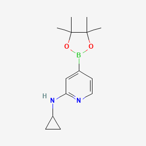 molecular formula C14H21BN2O2 B3233053 N-Cyclopropyl-4-(4,4,5,5-tetramethyl-1,3,2-dioxaborolan-2-YL)pyridin-2-amine CAS No. 1350918-92-1