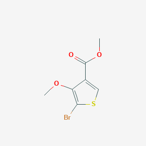 molecular formula C7H7BrO3S B3233338 Methyl 5-bromo-4-methoxythiophene-3-carboxylate CAS No. 1353100-79-4