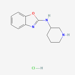 molecular formula C12H16ClN3O B3234219 Benzooxazol-2-yl-piperidin-3-yl-amine hydrochloride CAS No. 1353966-36-5