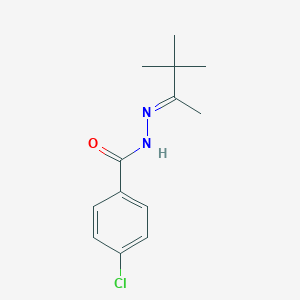 molecular formula C13H17ClN2O B323547 4-chloro-N'-(1,2,2-trimethylpropylidene)benzohydrazide 