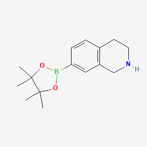 molecular formula C15H22BNO2 B3236122 7-(4,4,5,5-Tetramethyl-1,3,2-dioxaborolan-2-yl)-1,2,3,4-tetrahydroisoquinoline CAS No. 1362243-37-5