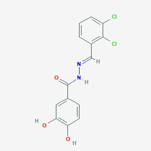 molecular formula C14H10Cl2N2O3 B323652 N'-(2,3-dichlorobenzylidene)-3,4-dihydroxybenzohydrazide 