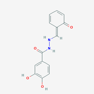 3,4-dihydroxy-N'-[(E)-(6-oxocyclohexa-2,4-dien-1-ylidene)methyl]benzohydrazide