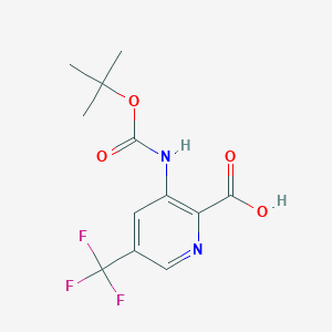 molecular formula C12H13F3N2O4 B3236652 3-tert-Butoxycarbonylamino-5-trifluoromethyl-pyridine-2-carboxylic acid CAS No. 1373223-62-1