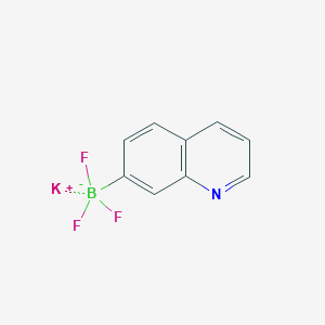 molecular formula C9H6BF3KN B3238354 Potassium trifluoro(quinolin-7-yl)borate CAS No. 1411985-64-2