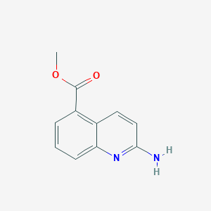 molecular formula C11H10N2O2 B3238539 2-Amino-quinoline-5-carboxylic acid methyl ester CAS No. 1414959-01-5
