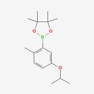 molecular formula C16H25BO3 B3238739 2-(5-Isopropoxy-2-methylphenyl)-4,4,5,5-tetramethyl-1,3,2-dioxaborolane CAS No. 1416723-00-6
